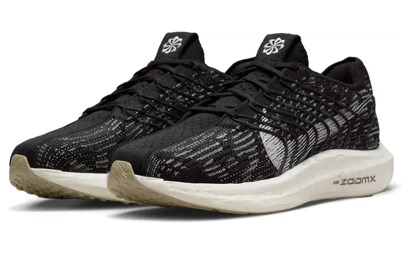 nike-air-pegasus DM3413-001