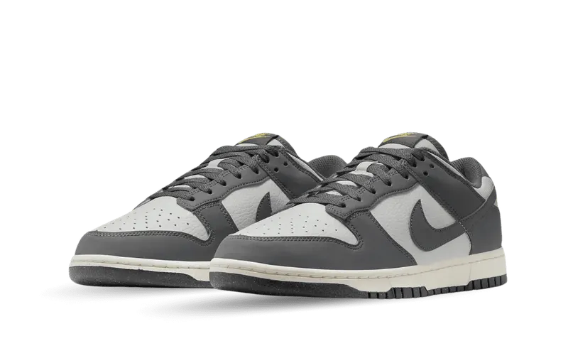 Nike Dunk Low Next Nature Iron Grey (FZ4621-001)
