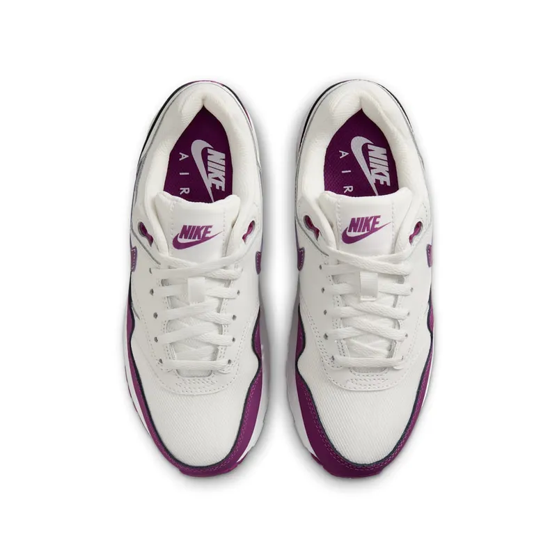 Nike Air Max 1 Summit White Viotech (DZ3307-109)