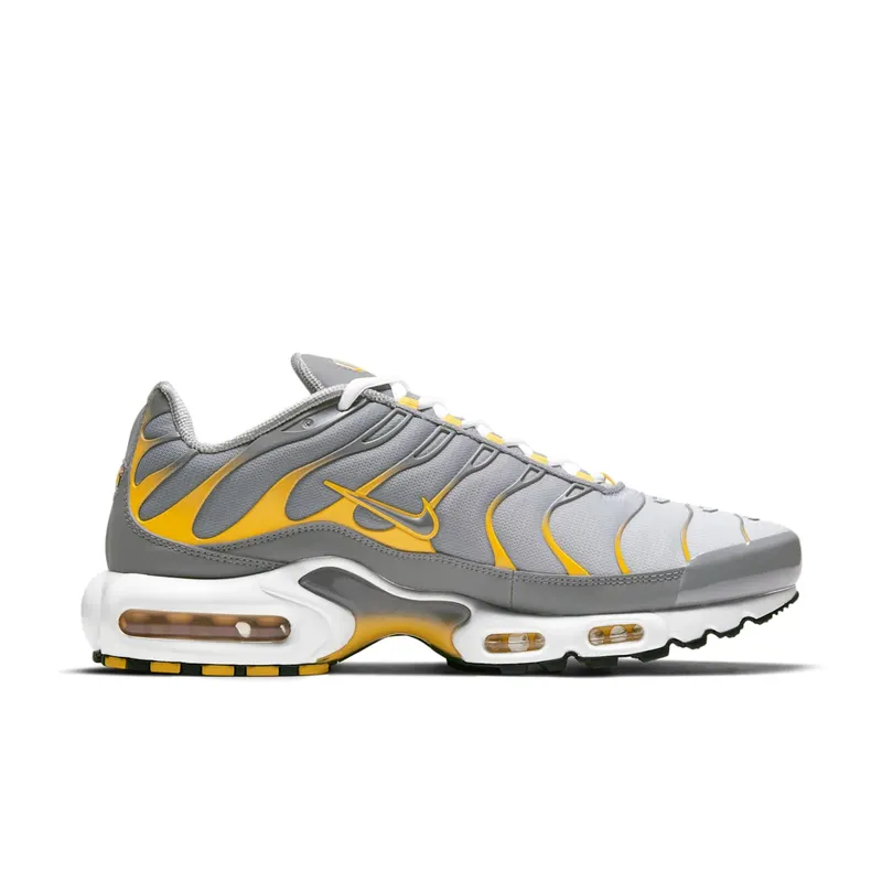 Nike Air Max Plus Grey (DD7111-001)