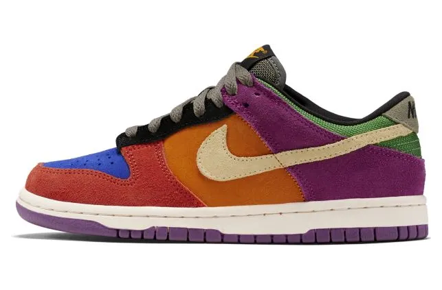 Nike Dunk Low Viotec (GS)