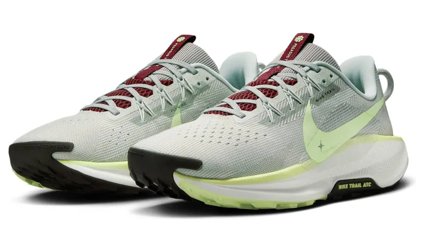 nike-air-pegasus DV3864-004