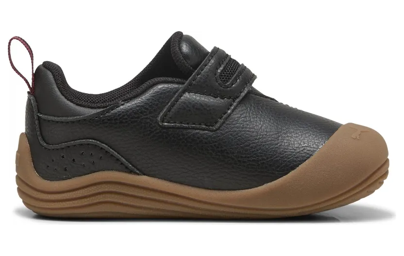 puma-kitten 402848_01
