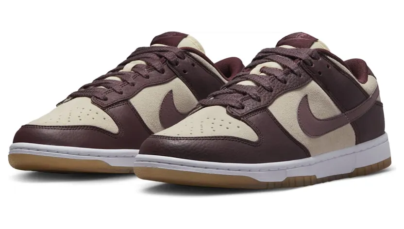 nike-dunk FJ4734-100