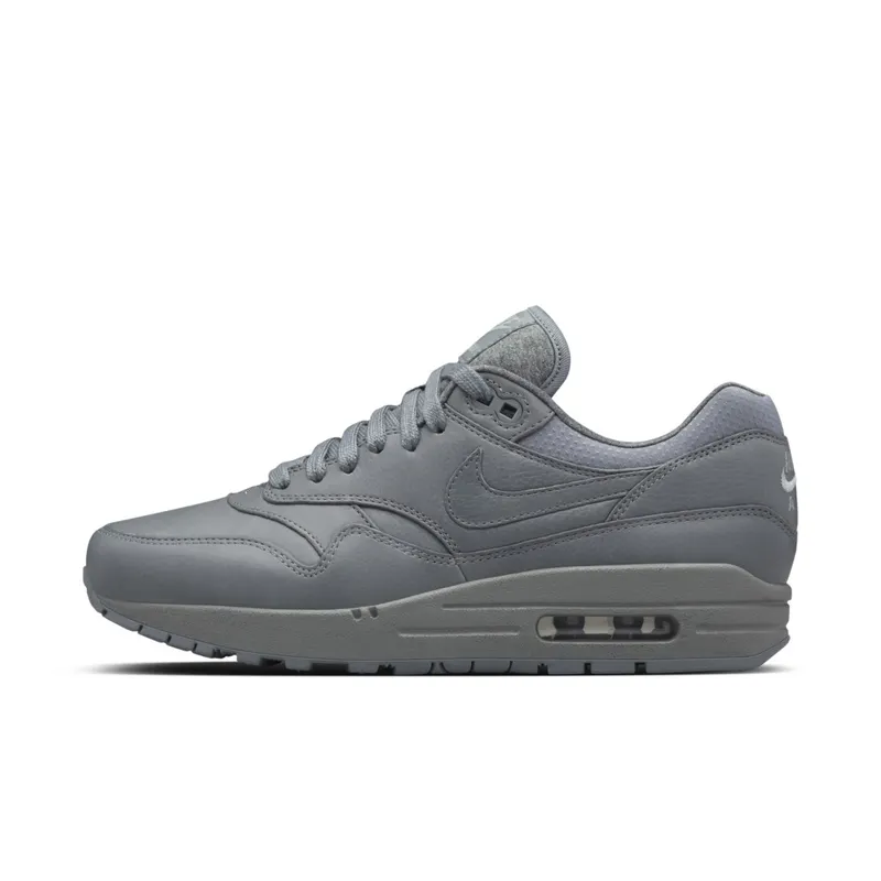 Nike Wmns Air Max 1 Pinnacle Cool Grey (839608-002)