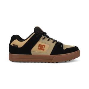 DC Pure Wnt (ADYS300151001)