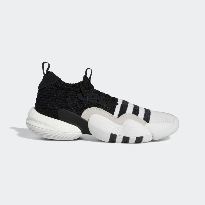 adidas Trae Young 2.0 Cloud White / Core Black / Matte Gold (H06477)