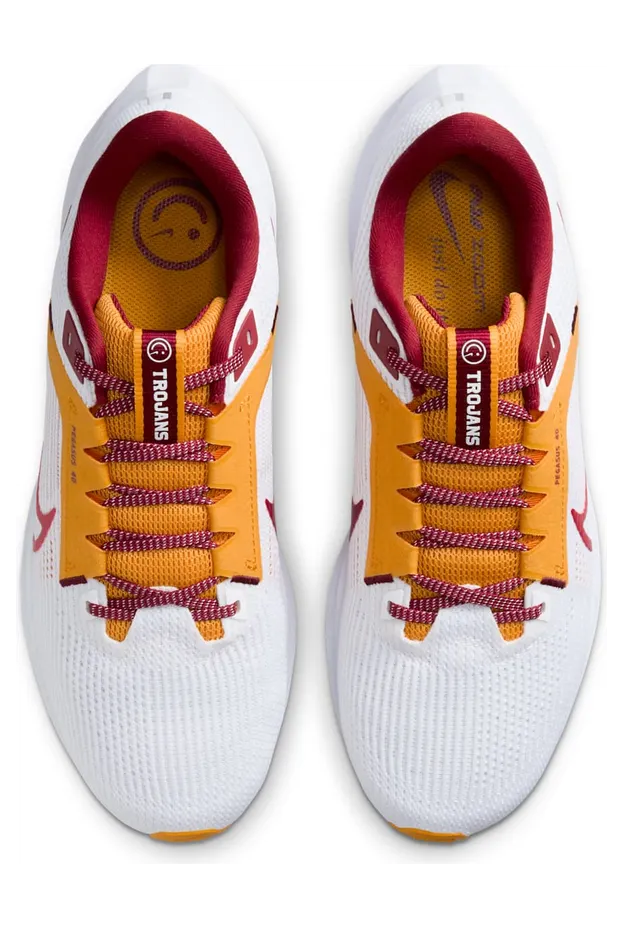 nike-air-pegasus DZ6003-100