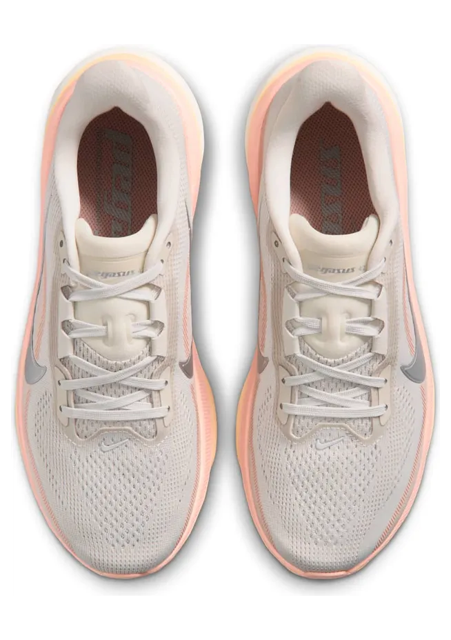 nike-air-pegasus IB1881-002