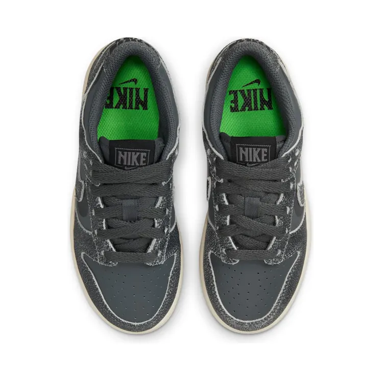 nike-dunk DQ6216-001