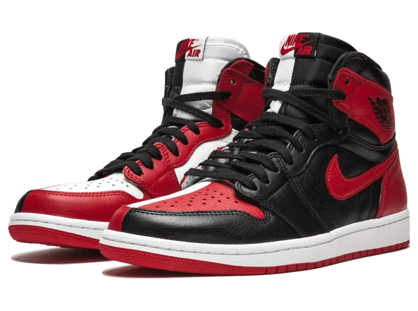 Air Jordan 1 Retro High OG Homage To Home (861428-061)