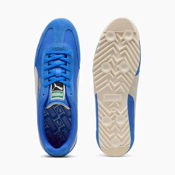 puma-arizona 398682-01