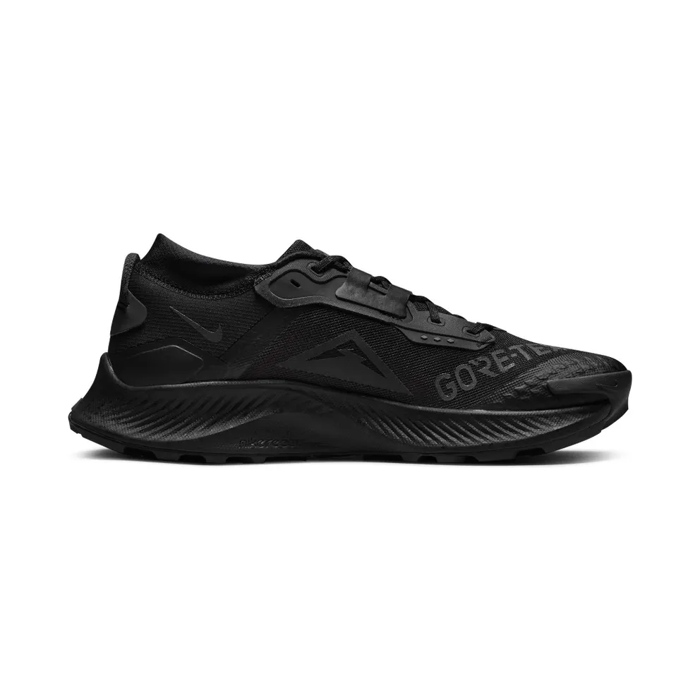 Nike Pegasus Trail 3 GORE-TEX Waterproof Trail Running Black (DC8793-001)