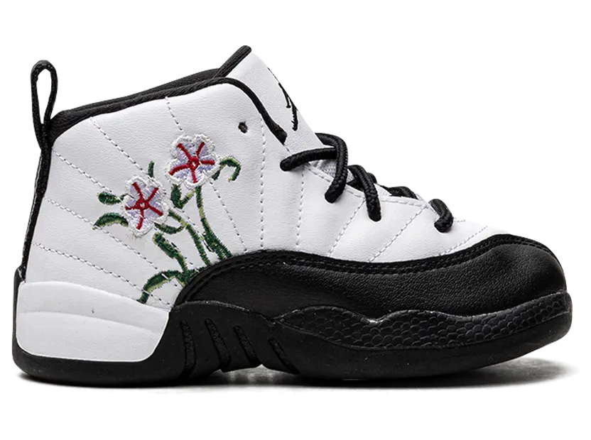 air-jordan-12 DR6955-100