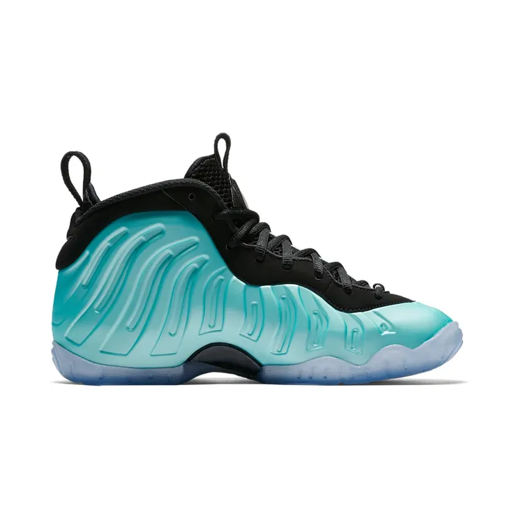 nike-little-posite-pro 644792-303