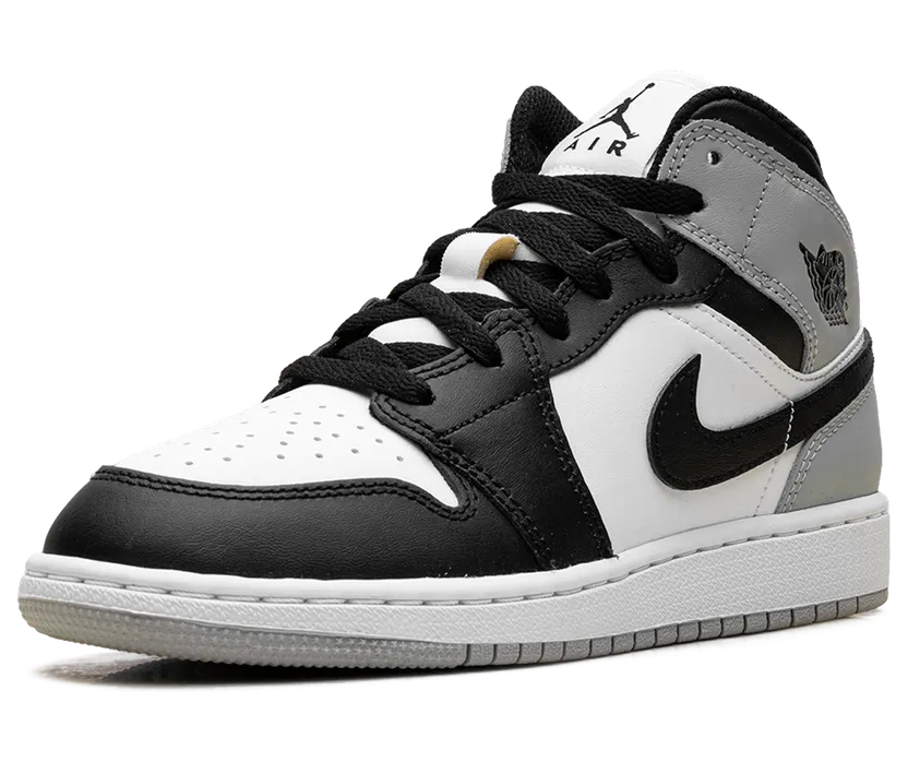 air-jordan-1 DQ8423-101