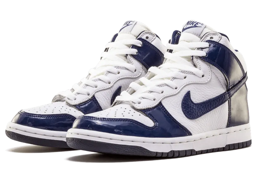 nike-dunk 304093-141