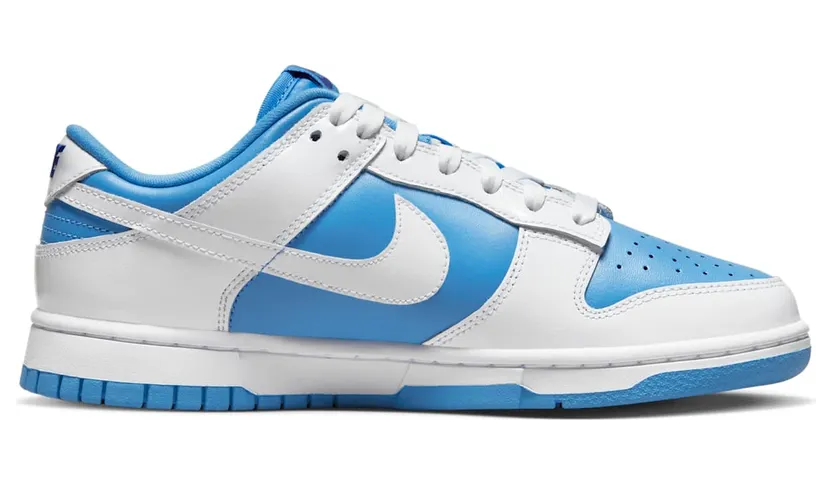 nike-dunk DJ9955-101