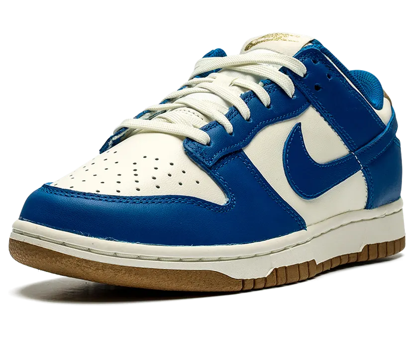 nike-dunk FB7173-141