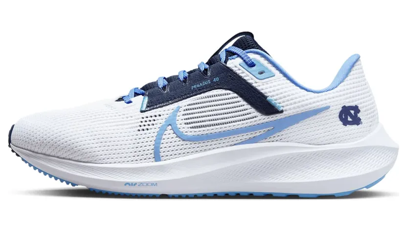 Nike Air Pegasus DZ5968-100