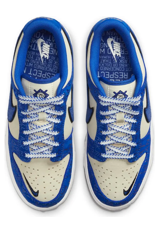 nike-dunk DV2203-400