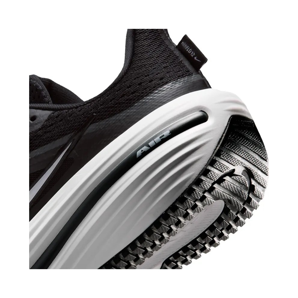 Nike Winflo 12 Black (HV9273-002)