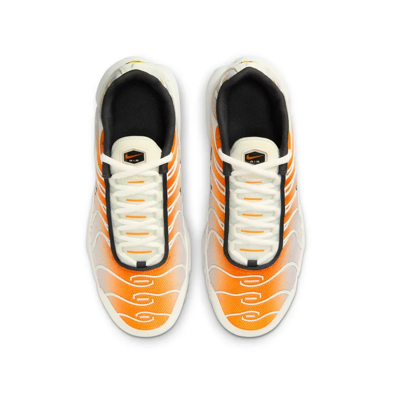 Nike Air Max Plus Orange Peel Summit White Anthracite Vast Grey (CD0609-800)