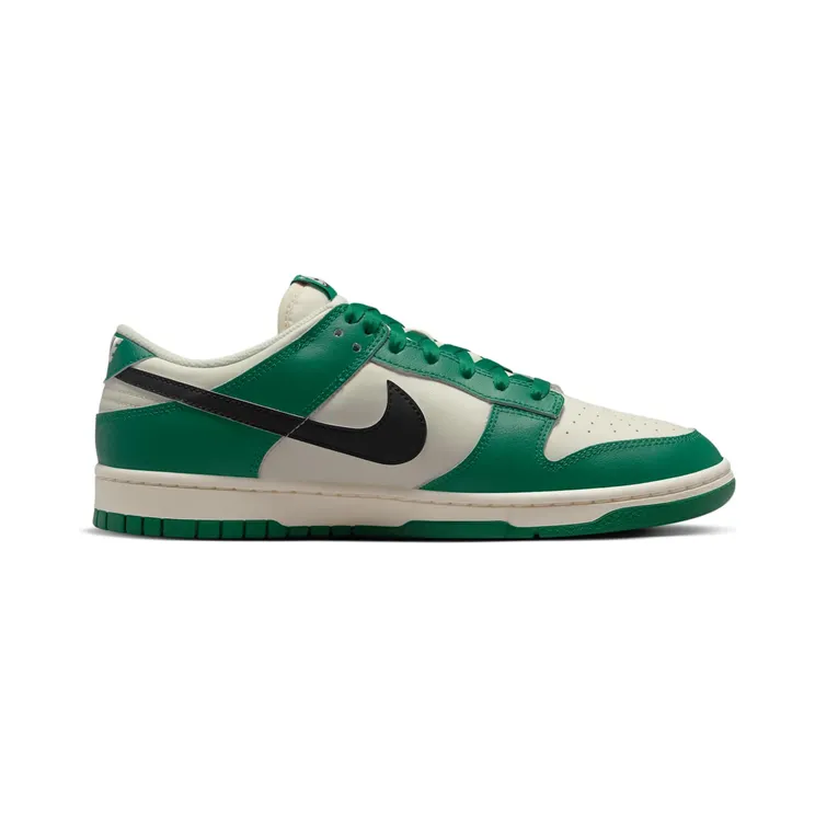 nike-dunk DR9654-100