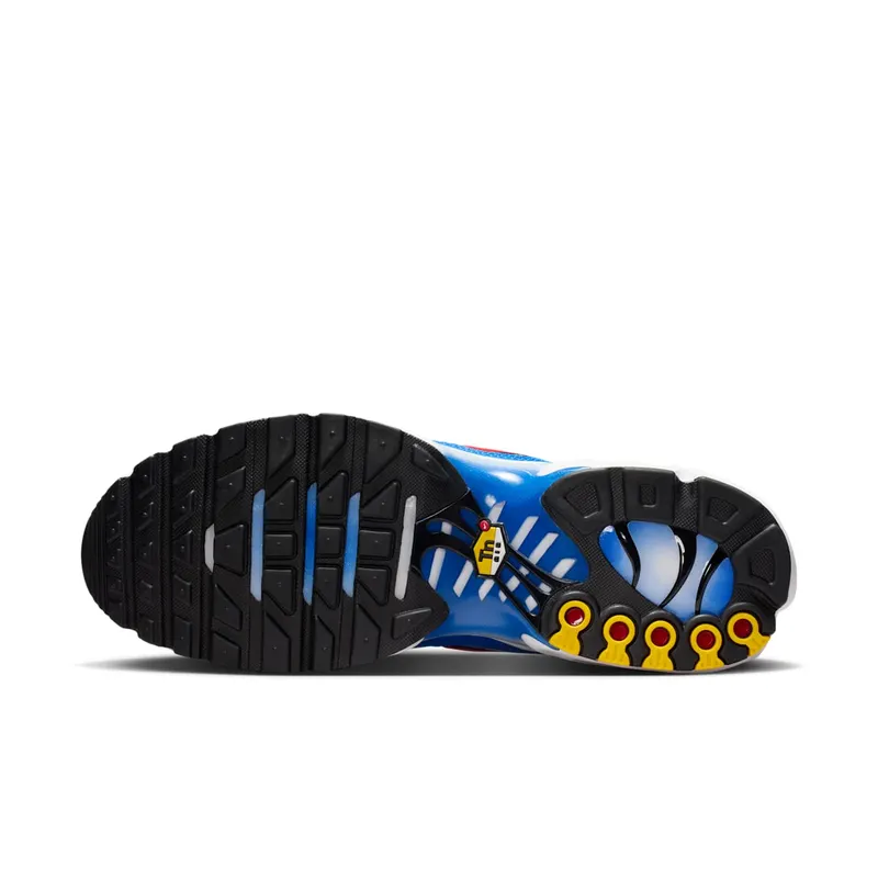 Nike Air Max Plus White / Signal Blue / Old Royal (DM0032-107)