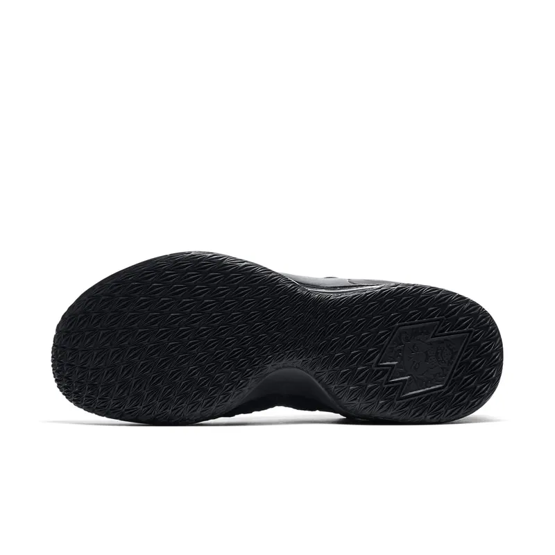 Nike LeBron 15 Low Blackout Black/Black-Thunder Grey (AO1755-004)