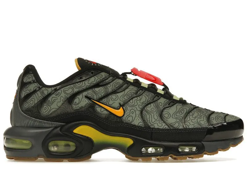 Nike Air Max Plus Fresh Perspective (DC7392-300)