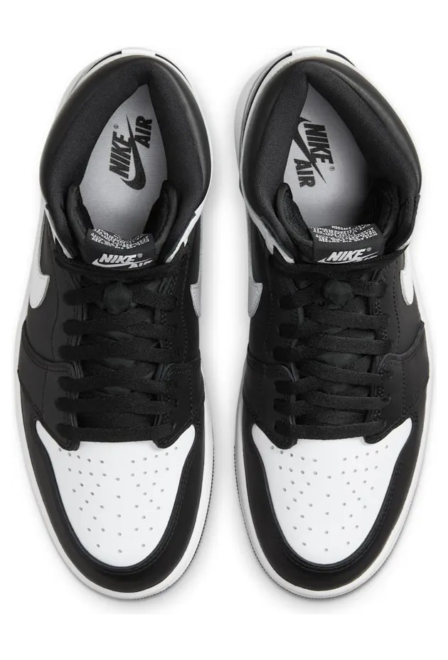 air-jordan-1 DZ5485-010