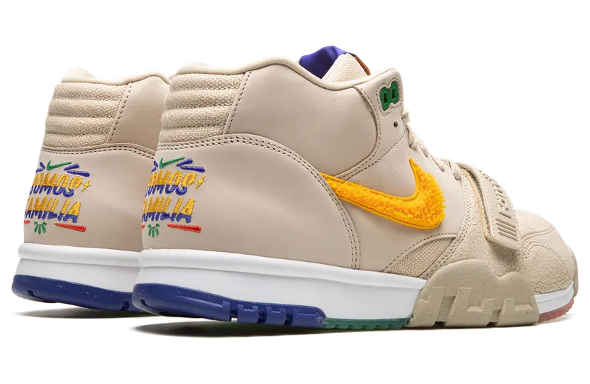 air-jordan-trainer-1 DR9904-200
