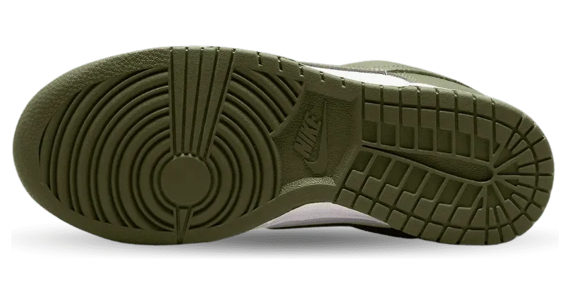 nike-dunk DD1503-120