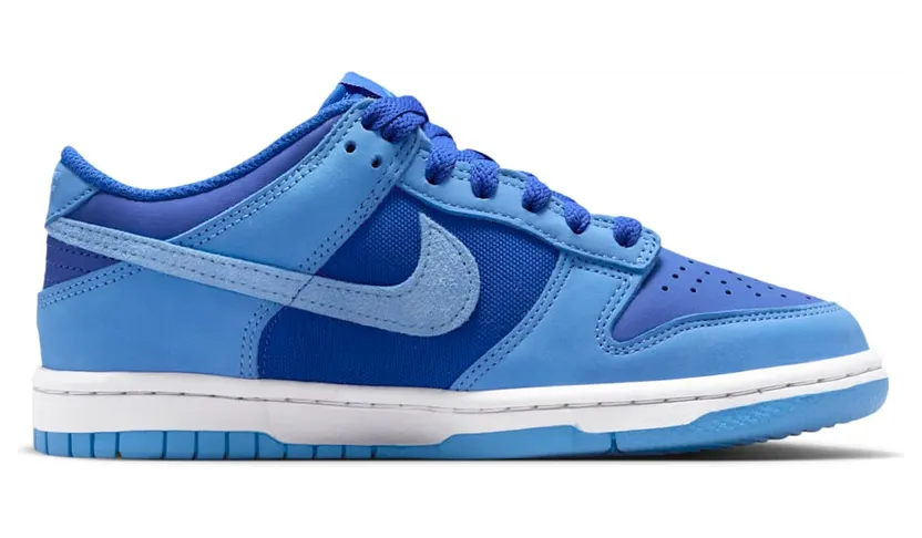 nike-dunk IB5721-400