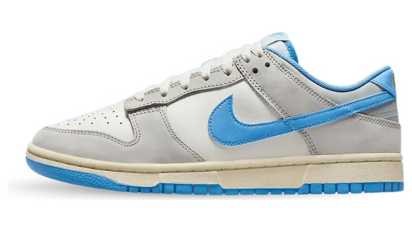 nike-dunk FN7488-133