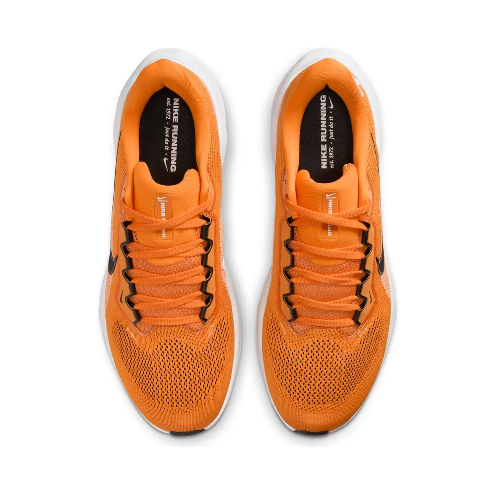 Nike Air Zoom Pegasus 41 Tennessee Volunteers (IB3253-800)