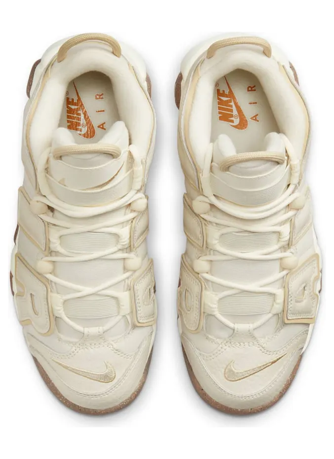 nike-air-more-uptempo DX1939-100
