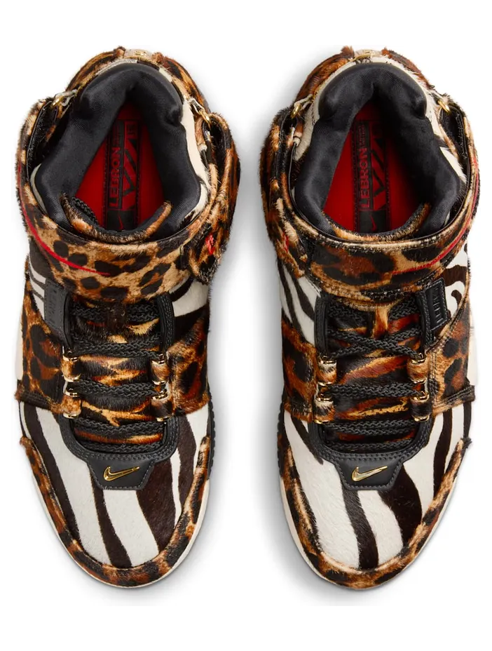 nike-lebron-2 DQ2439-200