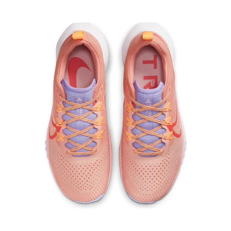 nike-air-pegasus DJ6159-800