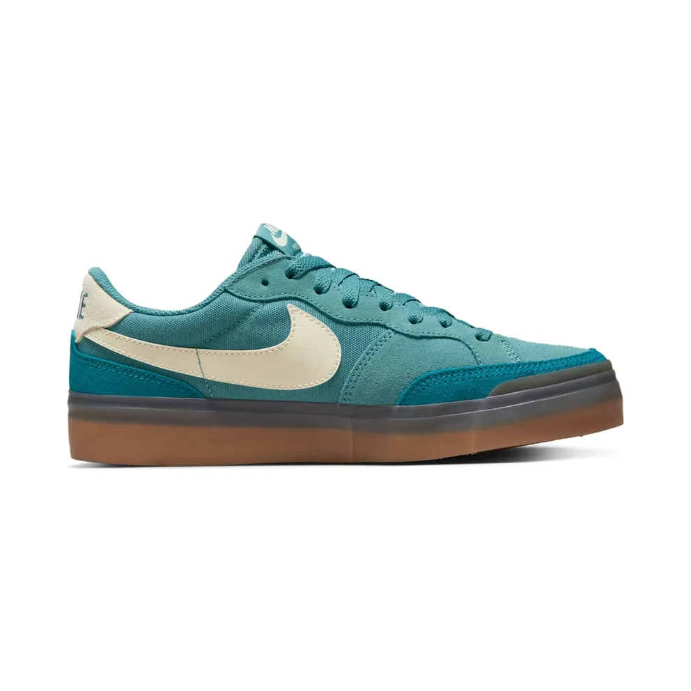 Nike SB Zoom Pogo Plus Noise Aqua (DV5469-401)