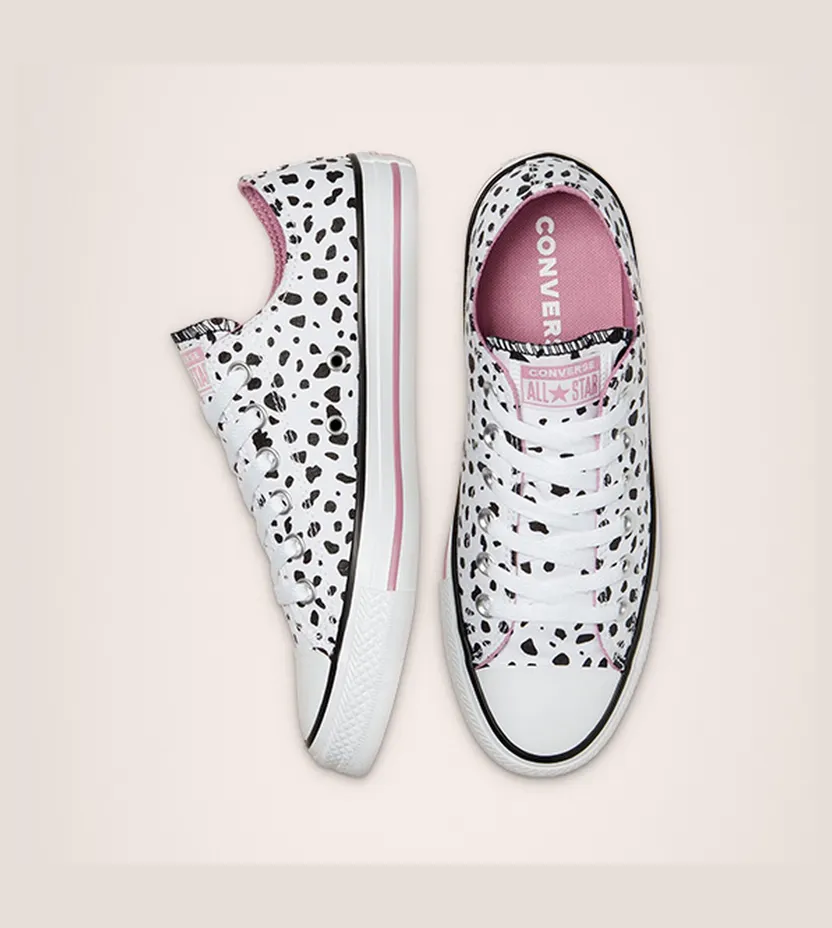 converse-chuck-taylor-all-star 169016C