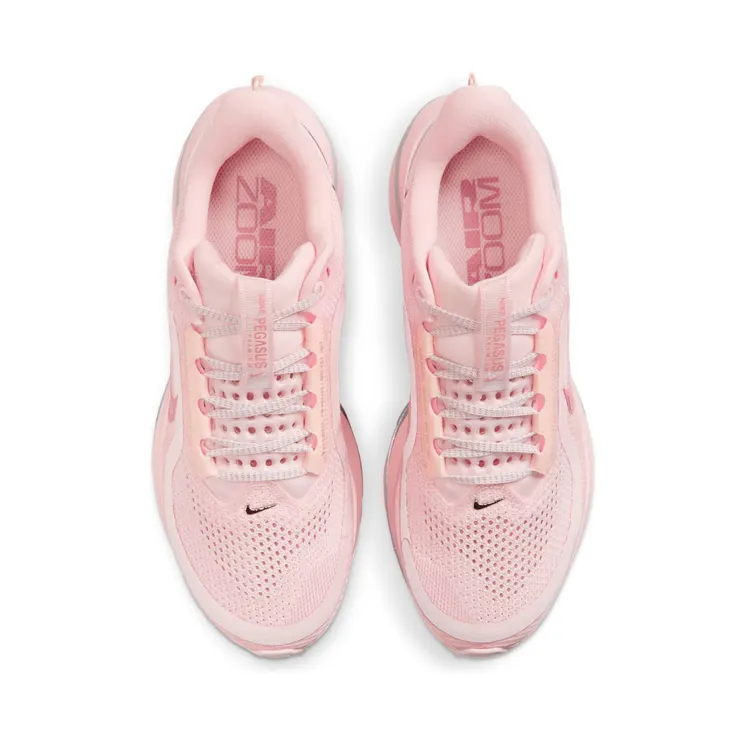 nike-air-pegasus HQ2593-601