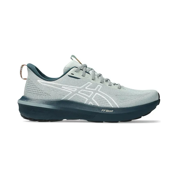 asics-gt-1000 1011C131-300