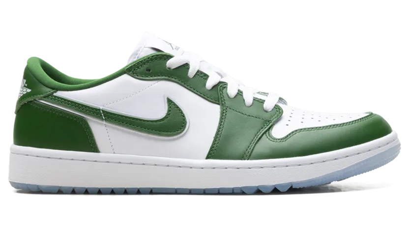 air-jordan-1 DD9315-300