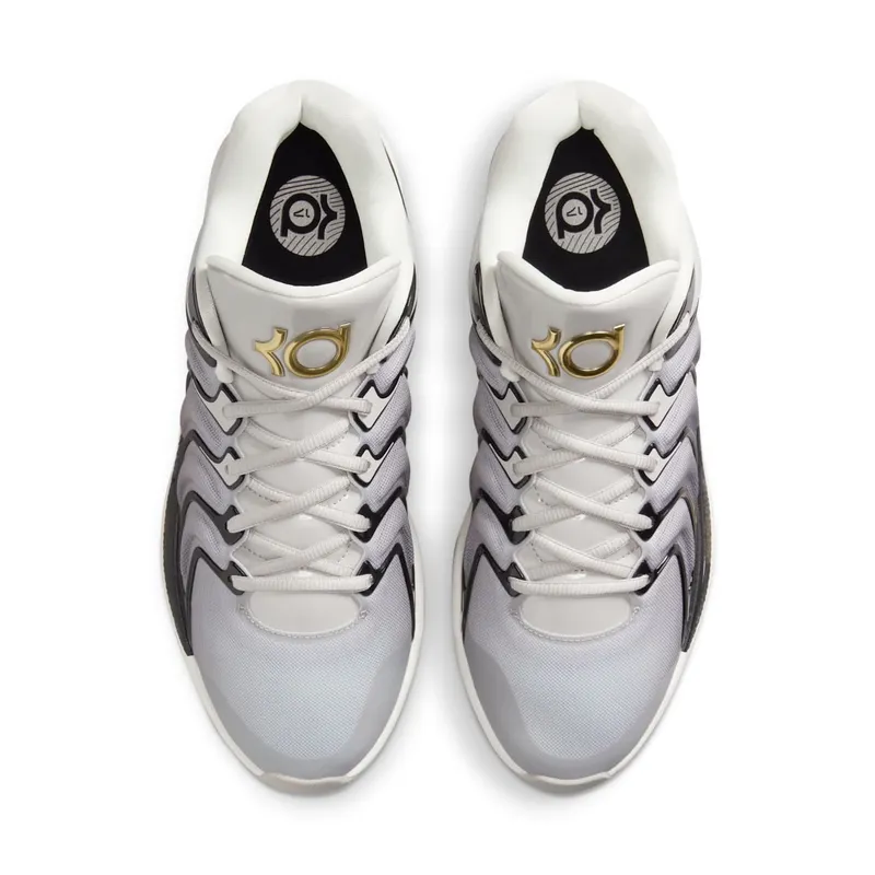 Nike KD 17 “Light Iron Ore / Metallic Gold” (FJ9487-003)