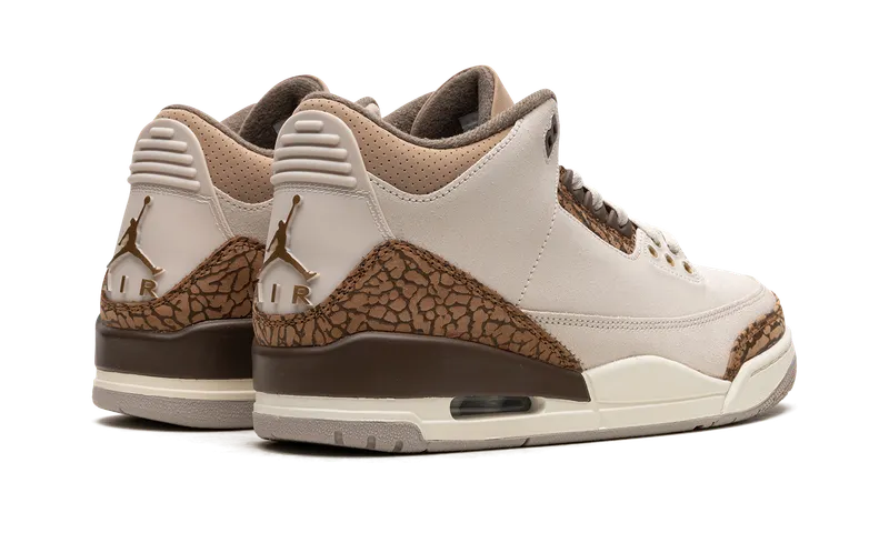 Air Jordan 3 “Palomino” (CT8532-102)