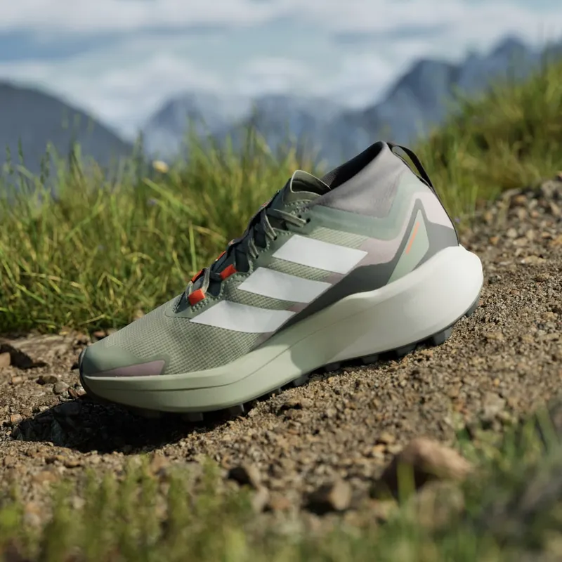 Adidas Terrex Agravic GTX Trail Running Silver Green / Cloud White / Preloved Fig (JP7253)
