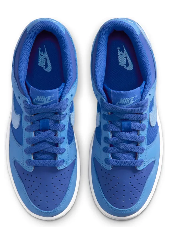 nike-dunk IB5721-400