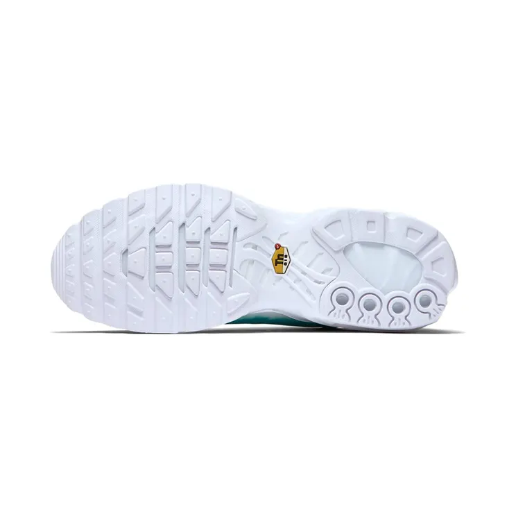 nike-air-max 899595-301